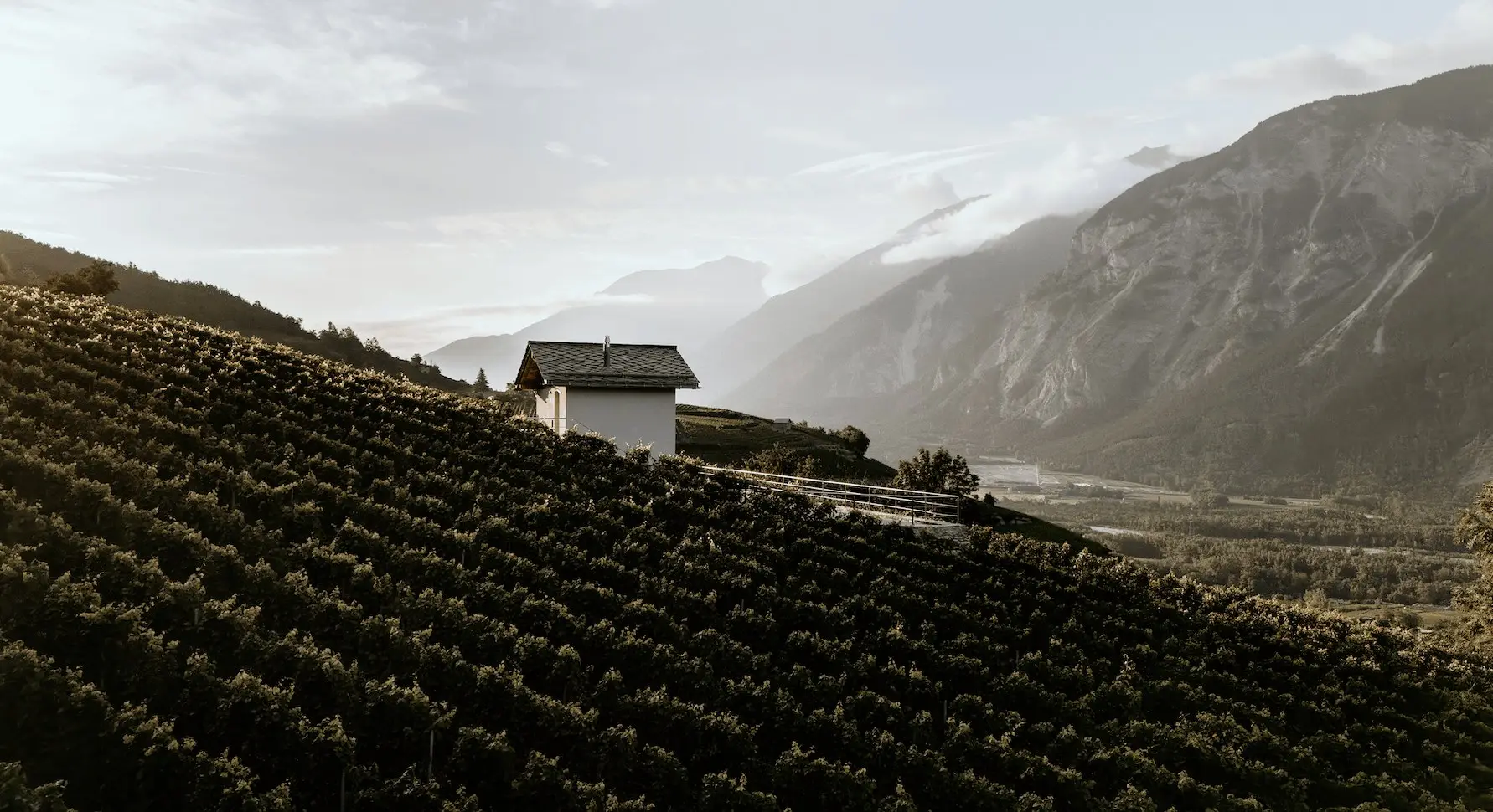 Wallis im Stah